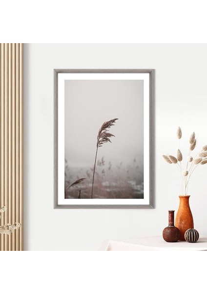 Pampas 5 Çerçeve ve Poster - B1186
