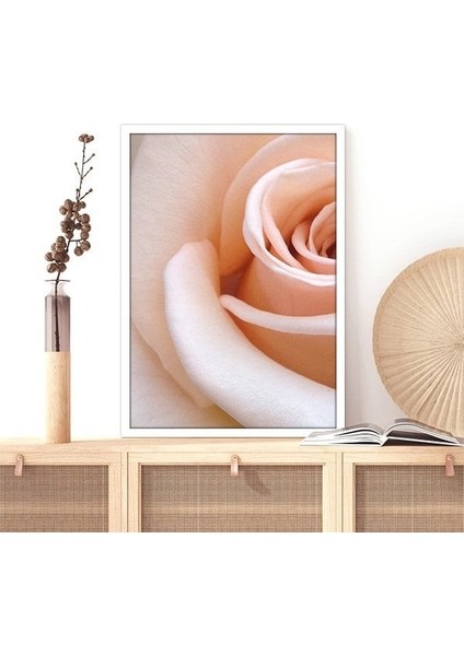 Yavru Ağzı Gül 1 Çerçeve ve Poster - B1082