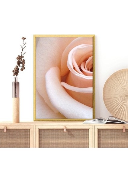 Yavru Ağzı Gül 1 Çerçeve ve Poster - B1082 fiyatları