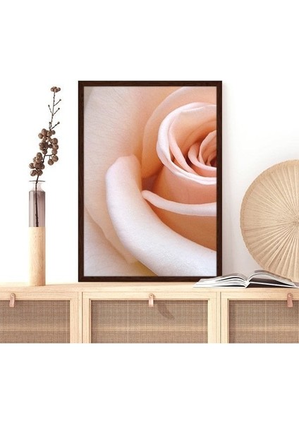 Yavru Ağzı Gül 1 Çerçeve ve Poster - B1082 modelleri