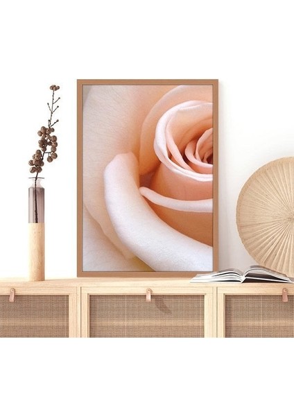 Yavru Ağzı Gül 1 Çerçeve ve Poster - B1082 fırsatları