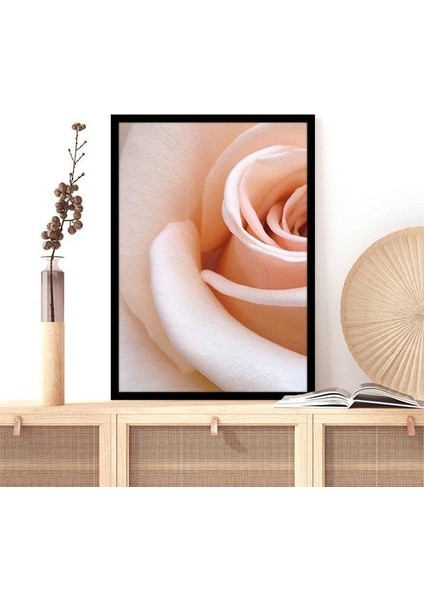 Yavru Ağzı Gül 1 Çerçeve ve Poster - B1082 indirimleri