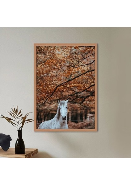 Beyaz At 1 Çerçeve ve Poster - H1017