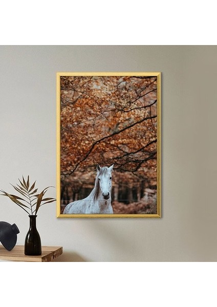 Beyaz At 1 Çerçeve ve Poster - H1017