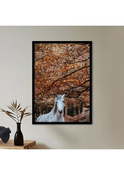 Beyaz At 1 Çerçeve ve Poster - H1017