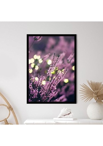 Mor Lavanta 2 Çerçeve ve Poster - B1139