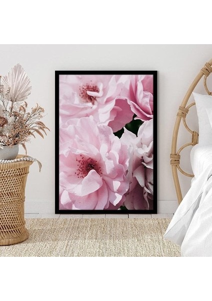 Pembe Şakayık 5 Çerçeve ve Poster - B1179