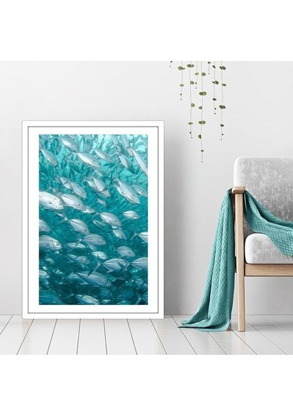 Balıklar 1 Çerçeve ve Poster - DO1038