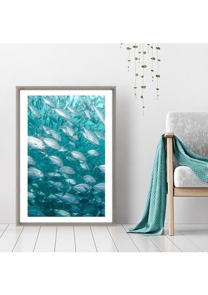 Balıklar 1 Çerçeve ve Poster - DO1038