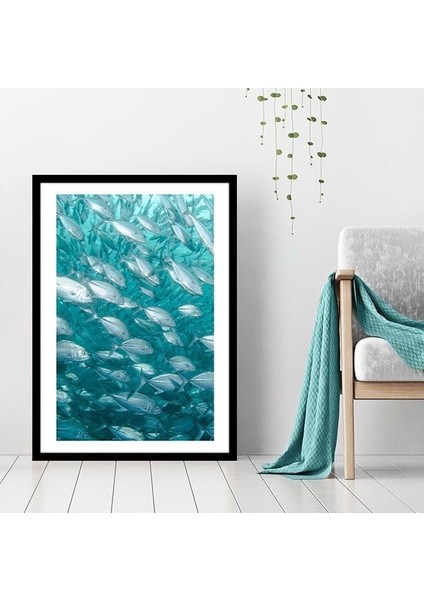 Balıklar 1 Çerçeve ve Poster - DO1038
