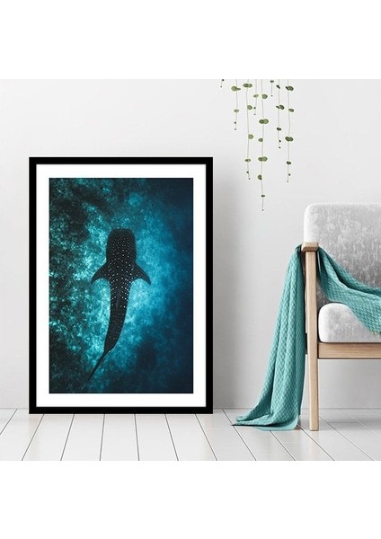 Balina 1 Çerçeve ve Poster - DO1043 fiyatları