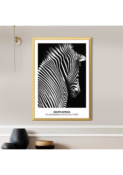 Zebra 8 Çerçeve ve Poster - H1054