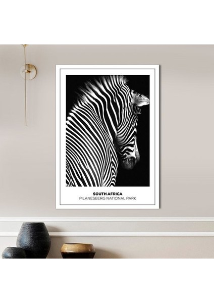 Zebra 8 Çerçeve ve Poster - H1054 fiyatları