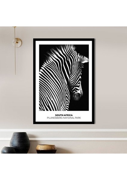 Zebra 8 Çerçeve ve Poster - H1054 modelleri