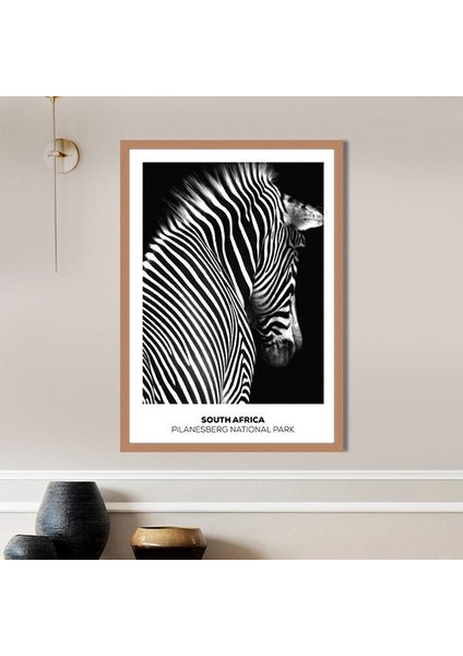 Zebra 8 Çerçeve ve Poster - H1054 indirimleri