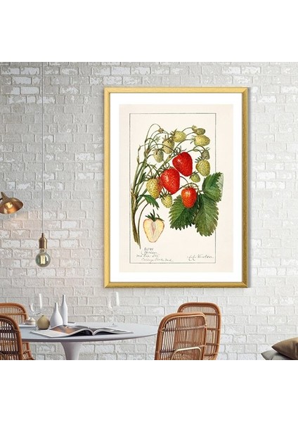Çilek 1 Çerçeve ve Poster - MT1050