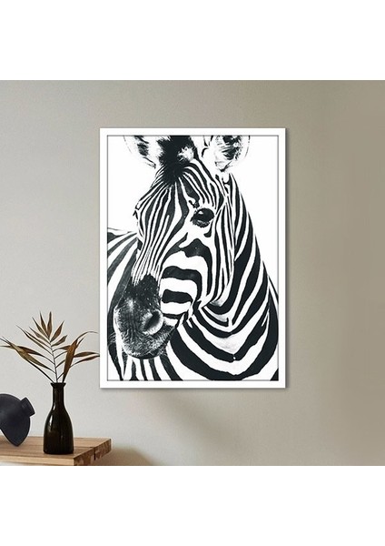 Zebra 1 Çerçeve ve Poster - H1047