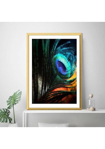 Yeşil Kuş Tüyü 1 Çerçeve ve Poster - H1027 modelleri