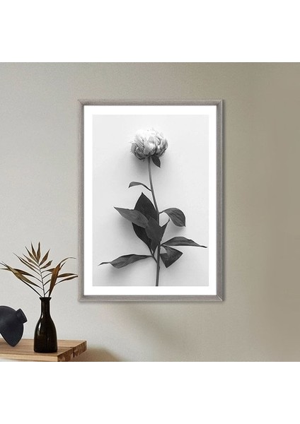 Tek Gül 1 Çerçeve ve Poster - SB1055