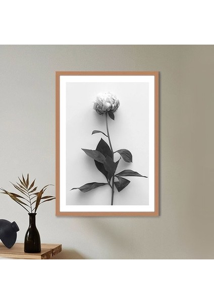 Tek Gül 1 Çerçeve ve Poster - SB1055 indirimleri