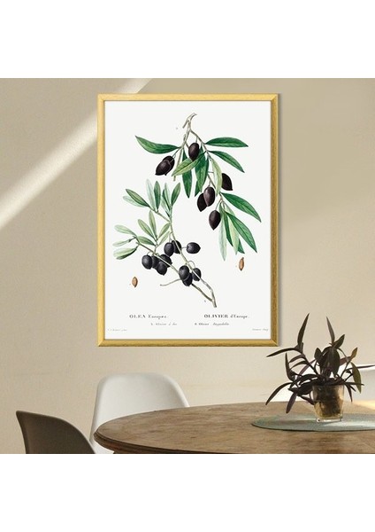 Zeytin Dalı 2 Çerçeve ve Poster - MT1075