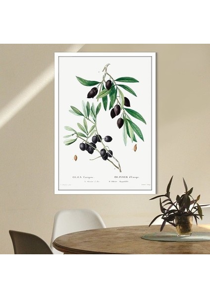 Zeytin Dalı 2 Çerçeve ve Poster - MT1075 fiyatları