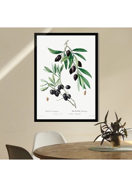 Zeytin Dalı 2 Çerçeve ve Poster - MT1075 modelleri