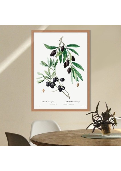 Zeytin Dalı 2 Çerçeve ve Poster - MT1075 fırsatları