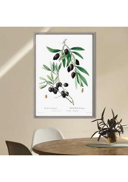 Zeytin Dalı 2 Çerçeve ve Poster - MT1075 indirimleri