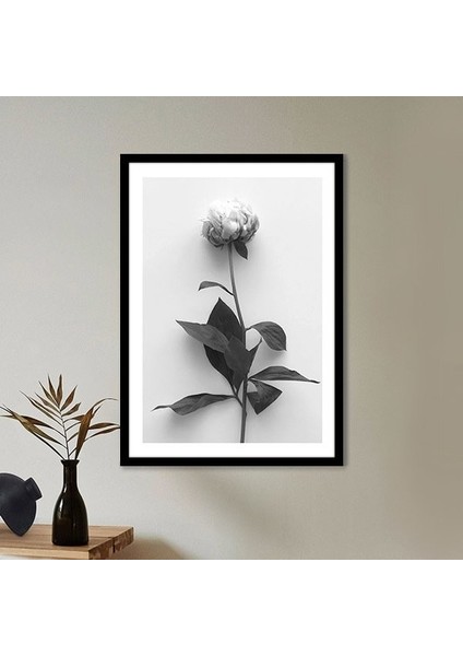 Tek Gül 1 Çerçeve ve Poster - SB1055