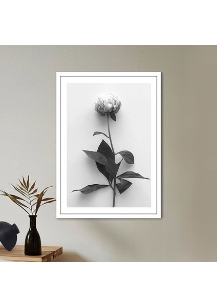 Tek Gül 1 Çerçeve ve Poster - SB1055
