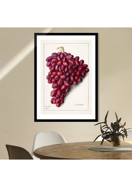 Kırmızı Üzümler 1 Çerçeve ve Poster - MT1064