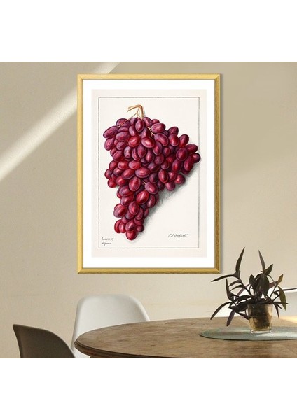 Kırmızı Üzümler 1 Çerçeve ve Poster - MT1064 fiyatları