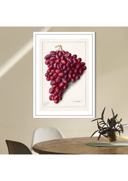 Kırmızı Üzümler 1 Çerçeve ve Poster - MT1064 modelleri