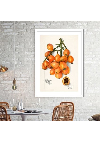 Yenidünya 1 Çerçeve ve Poster - MT1083 fiyatları