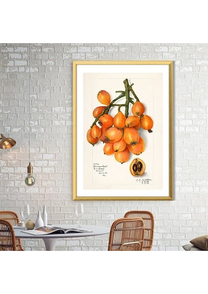 Yenidünya 1 Çerçeve ve Poster - MT1083 modelleri