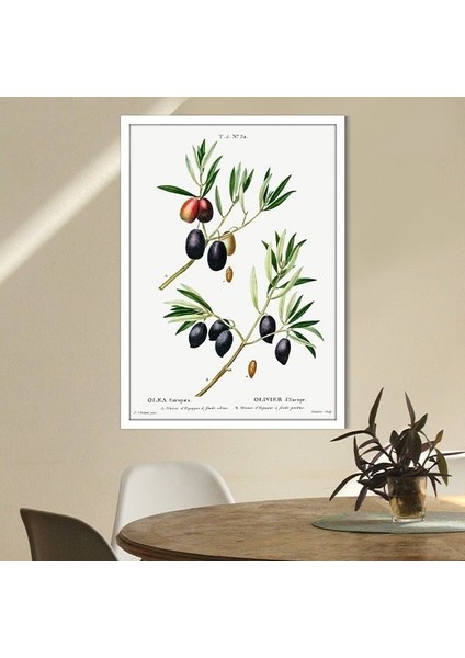 Zeytin Dalı 1 Çerçeve ve Poster - MT1074