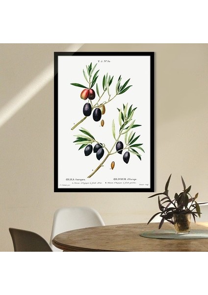 Zeytin Dalı 1 Çerçeve ve Poster - MT1074