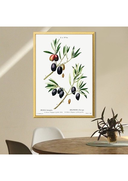 Zeytin Dalı 1 Çerçeve ve Poster - MT1074