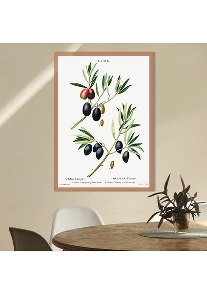 Zeytin Dalı 1 Çerçeve ve Poster - MT1074