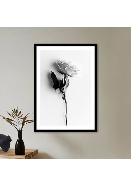 Tek Gül 4 Çerçeve ve Poster - SB1060