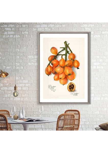 Yenidünya 1 Çerçeve ve Poster - MT1083 indirimleri