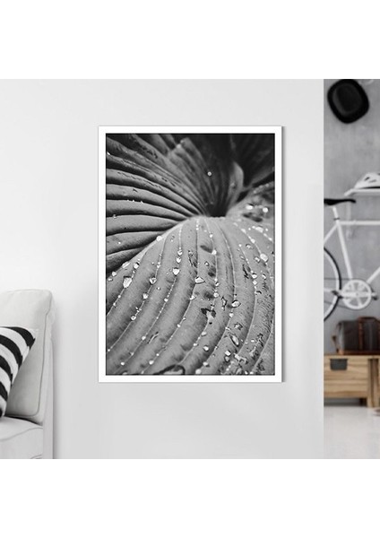Yağmur Damlalı Yaprak 1 Çerçeve ve Poster - SB1114