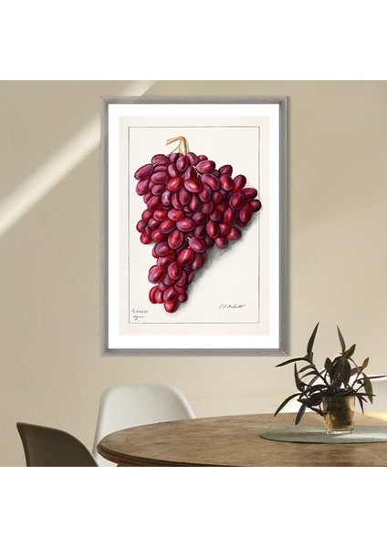 Kırmızı Üzümler 1 Çerçeve ve Poster - MT1064 fırsatları