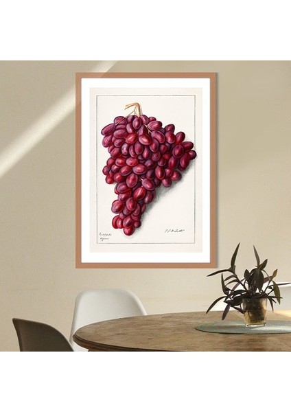 Kırmızı Üzümler 1 Çerçeve ve Poster - MT1064 indirimleri