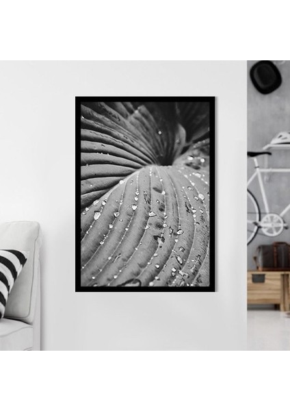 Yağmur Damlalı Yaprak 1 Çerçeve ve Poster - SB1114 fiyatları