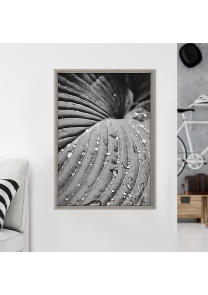 Yağmur Damlalı Yaprak 1 Çerçeve ve Poster - SB1114 modelleri