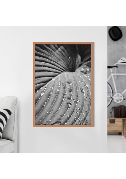 Yağmur Damlalı Yaprak 1 Çerçeve ve Poster - SB1114 fırsatları