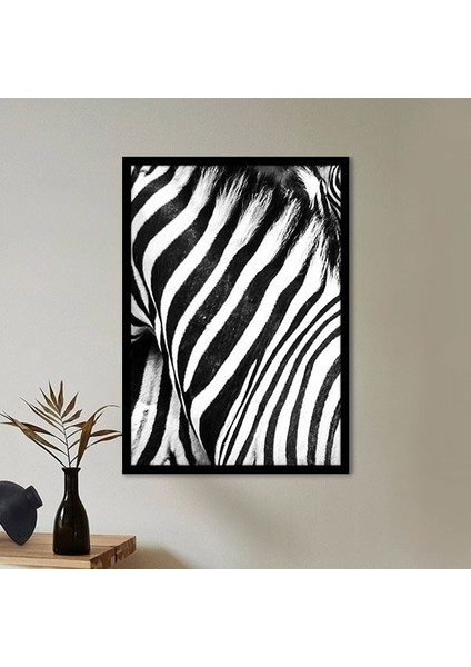 Zebra Dokusu 3 Çerçeve ve Poster - H1049