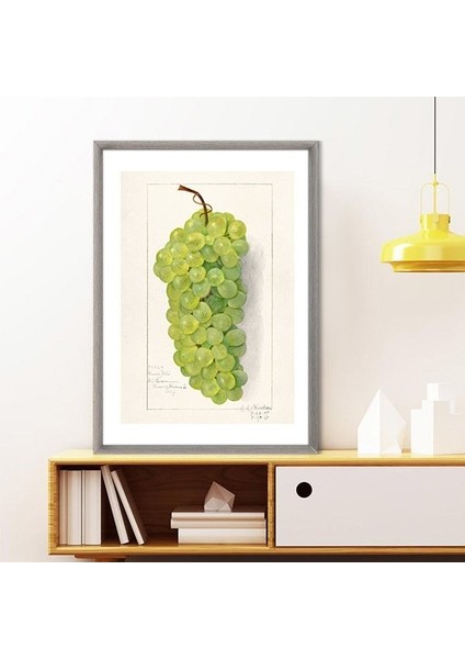 Yeşil Üzümler 3 Çerçeve ve Poster - MT1105